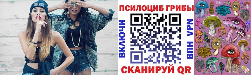 Купить  Славянск-на-Кубани  Псилоцибиновые грибы мицелий 